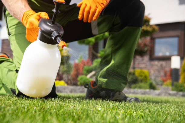 Best Pest Prevention Services  in Hallandale Beach, FL