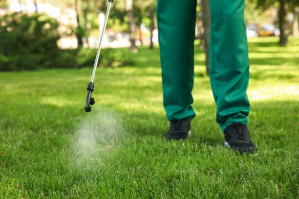 Best Affordable Pest Control Services  in Hallandale Beach, FL