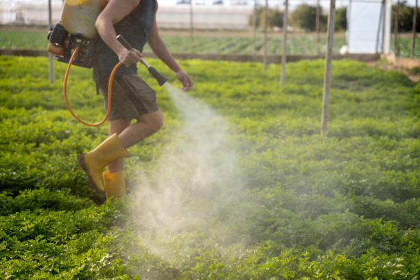 Best Affordable Pest Control Services  in Hallandale Beach, FL